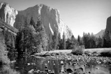 stream in yosemite.jpg